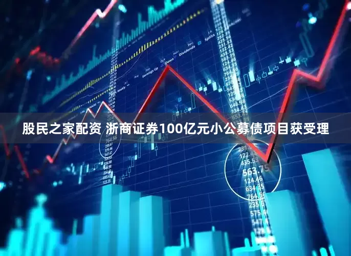 股民之家配资 浙商证券100亿元小公募债项目获受理