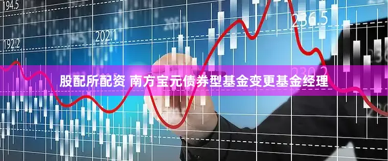 股配所配资 南方宝元债券型基金变更基金经理