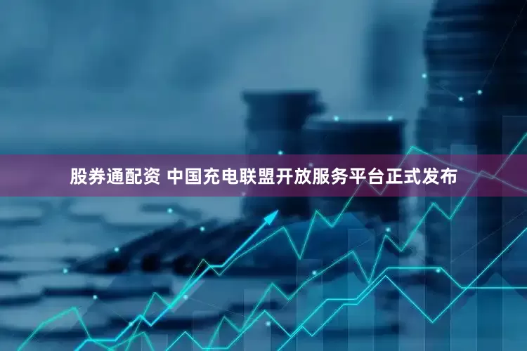 股券通配资 中国充电联盟开放服务平台正式发布